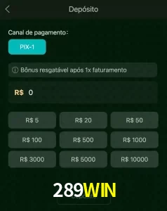 deposits 289WIN